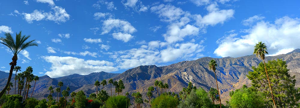 Palm Springs Transportation